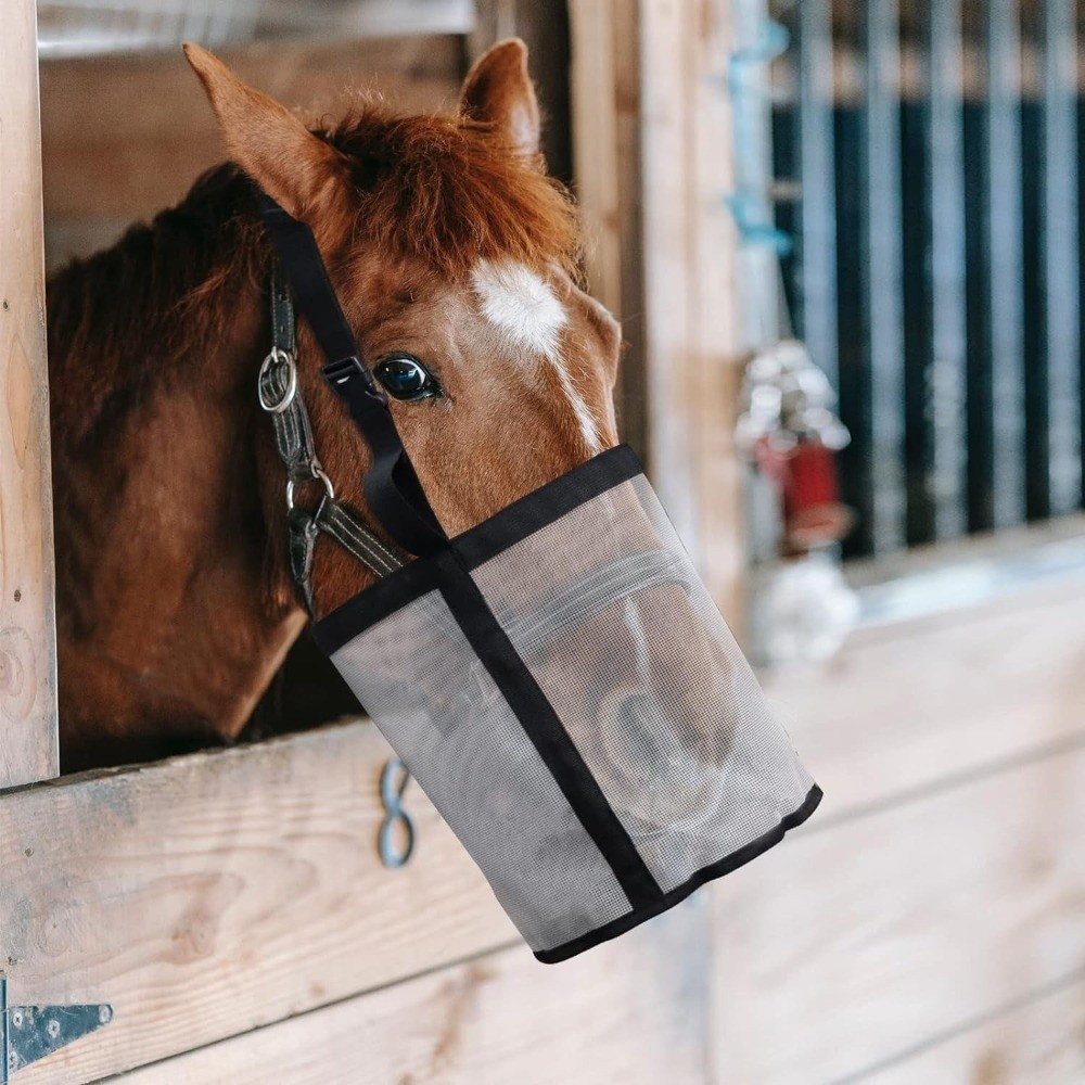 Multi-color Leak-Proof Horse F - đánh giá và giá Mesh Feeder Bag