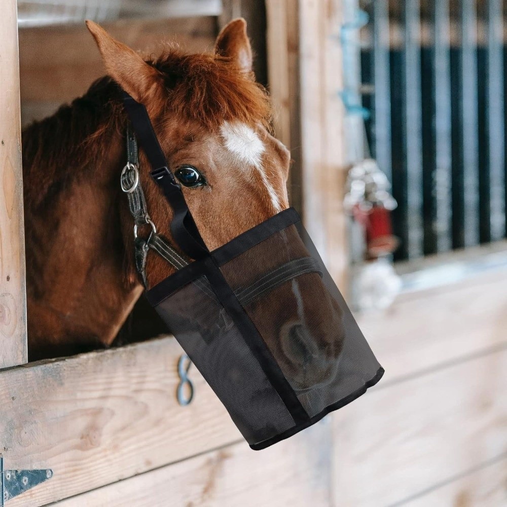 Multi-color Leak-Proof Horse F - đánh giá và giá Mesh Feeder Bag