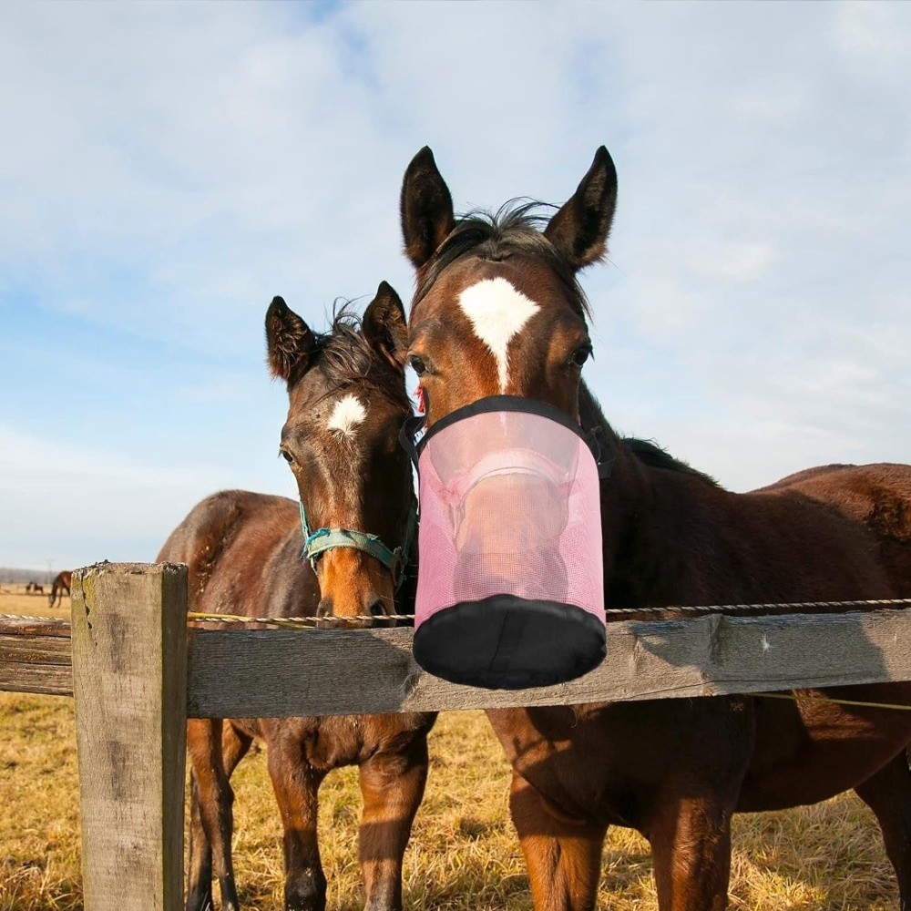 Multi-color Leak-Proof Horse F - đánh giá và giá Mesh Feeder Bag