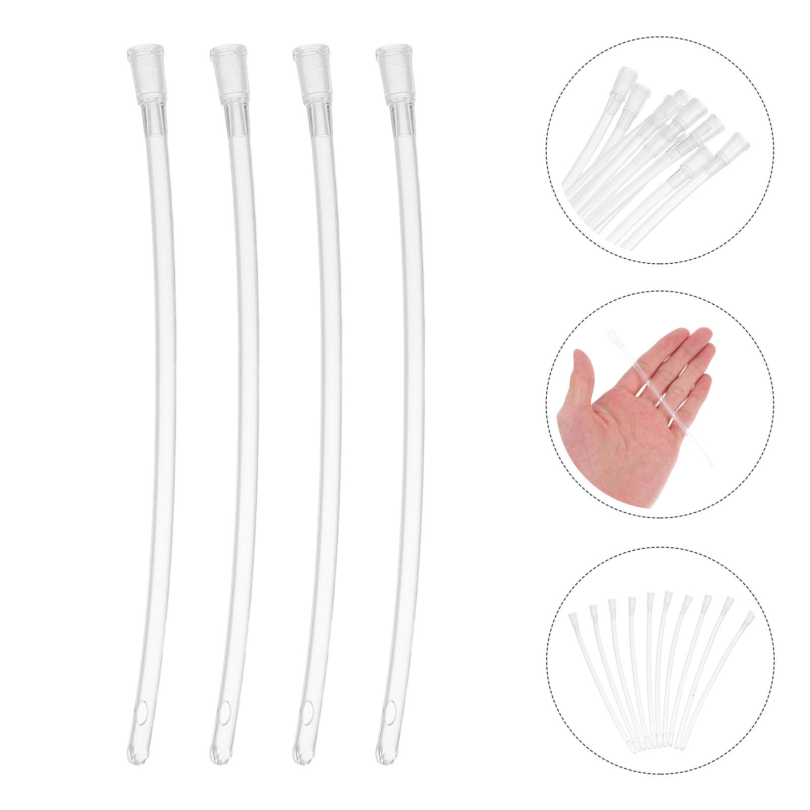 10Pcs Transparent Parrot Feede - đánh giá và giá Baby Food Youtube
