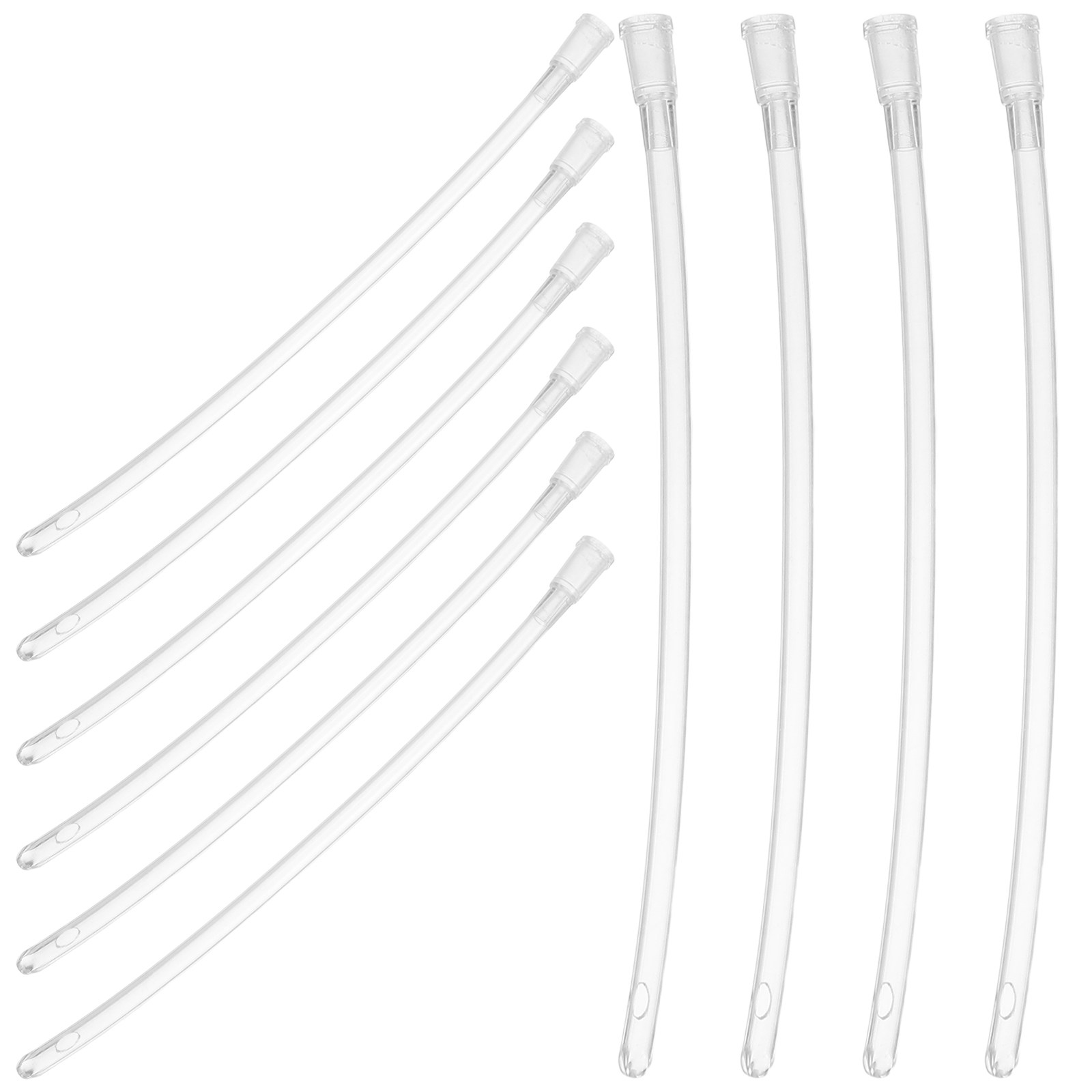 10Pcs Transparent Parrot Feede - đánh giá và giá Baby Food Youtube