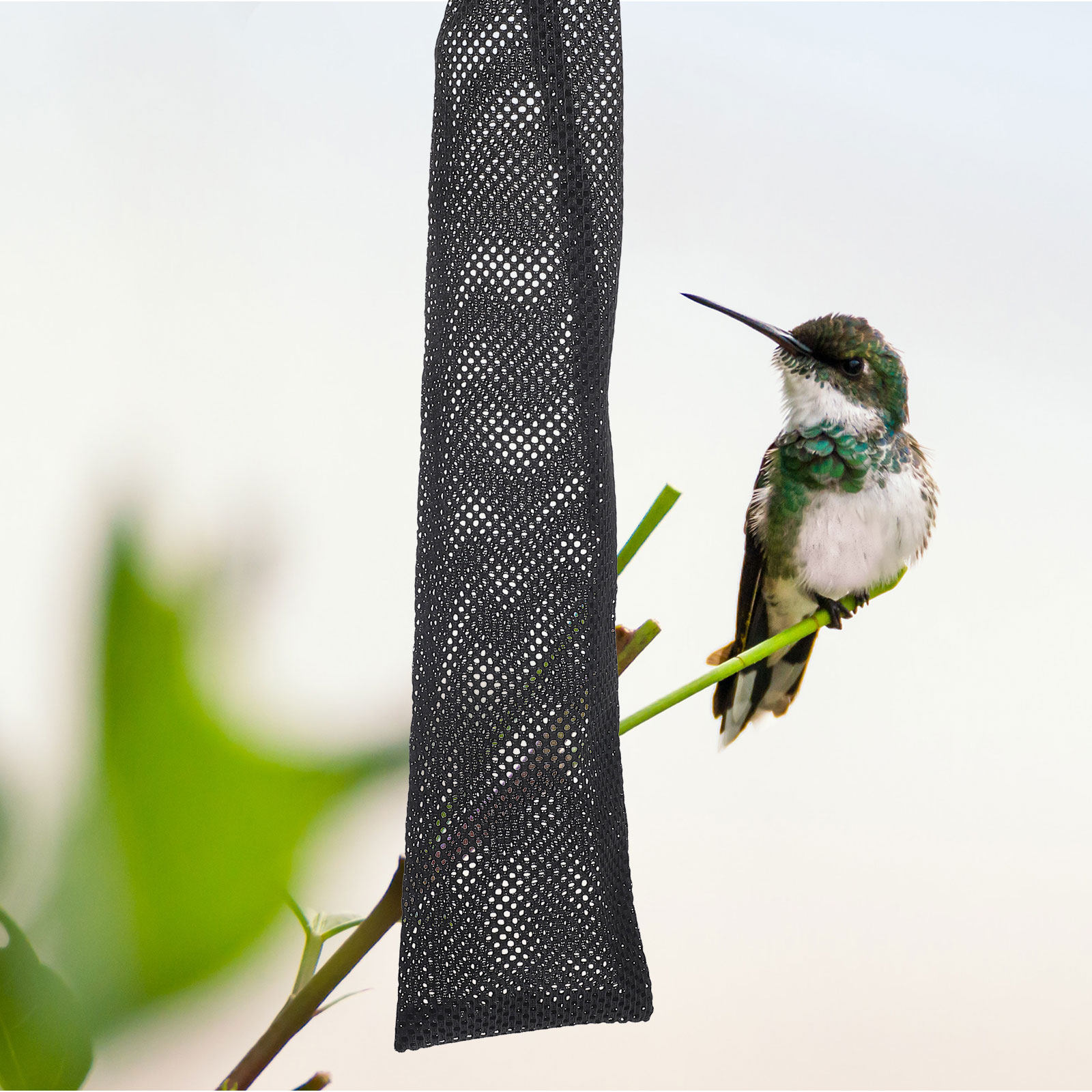 3Pcs Birds Feeding Bags Nylon  - đánh giá và giá Mesh Feeder Bag
