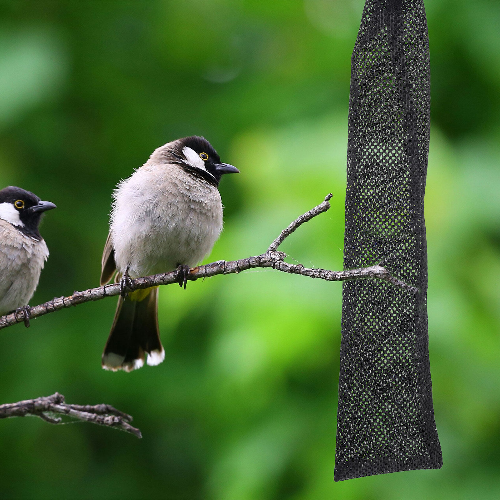 3Pcs Birds Feeding Bags Nylon  - đánh giá và giá Mesh Feeder Bag